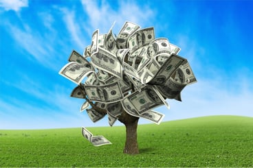 Money_Tree_1.jpg